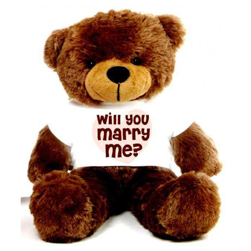 Buy Brown 2 feet Big Teddy Bear wearing a Will You Marry Me T